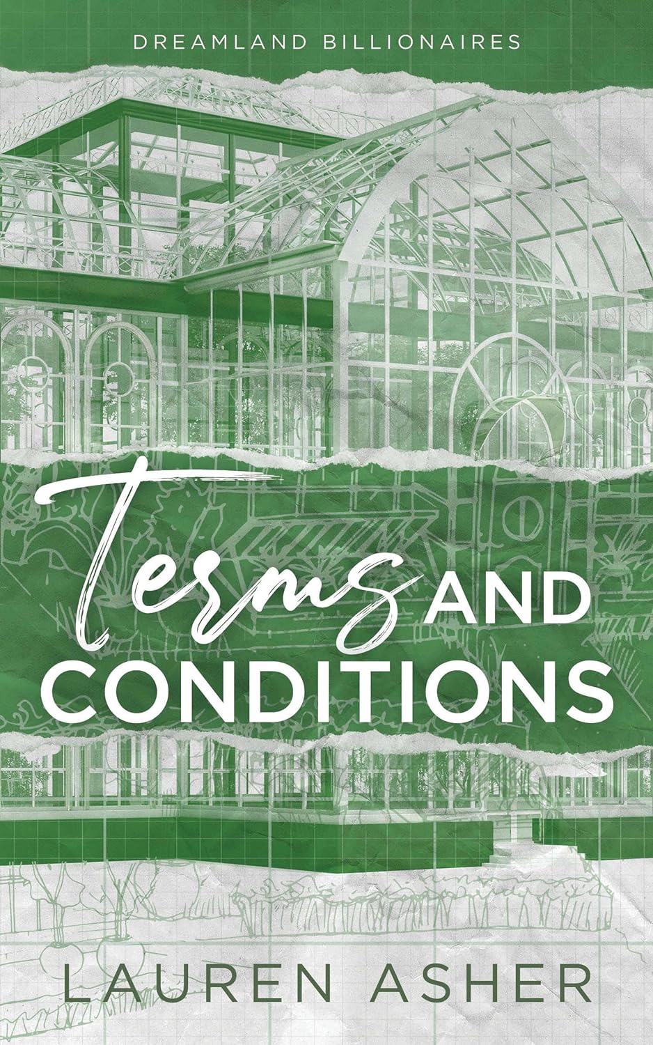 Terms and Conditions (Dreamland Billionaires #2)