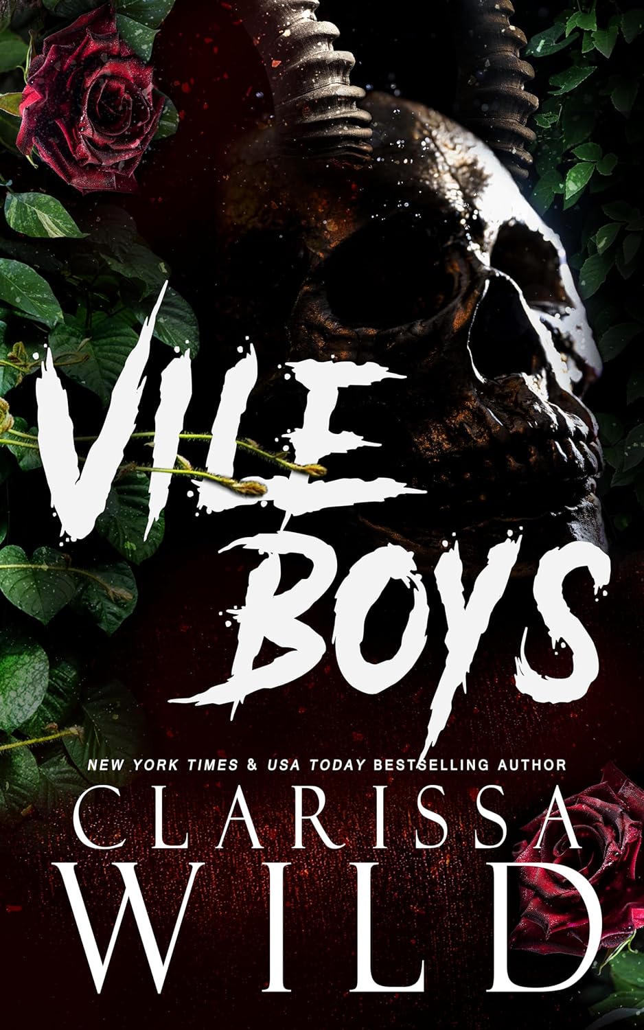 Vile Boys (Spine Ridge University #3)